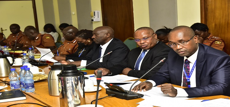 Officials of the Directorate of Public Prosecution appearing before the committee